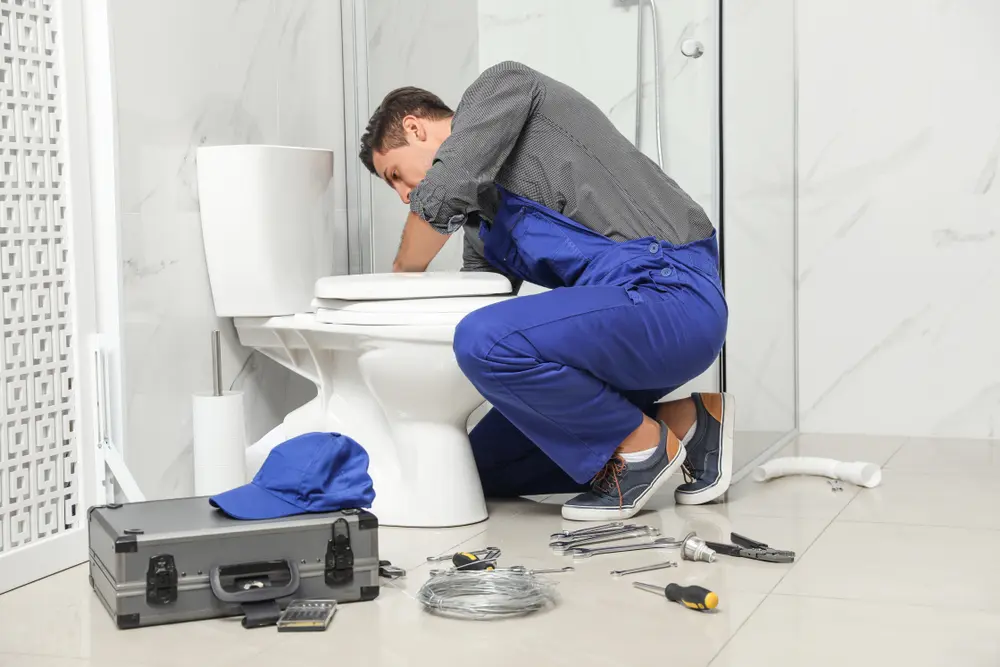 Toilet Installation in Chickasaw Point